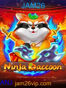 NinjaRaccoon